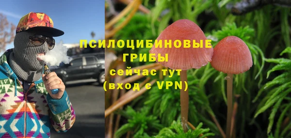 мяу мяу мука Балабаново